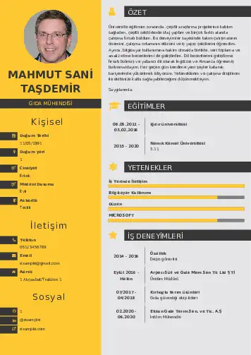 Gıda Mühendisi CV Örnekleri cv indir